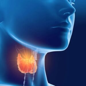 u03juguknvu5kmbubcwfqjllb4chlg4f u03juguknvu5kmbubcwfqjllb4chlg4f